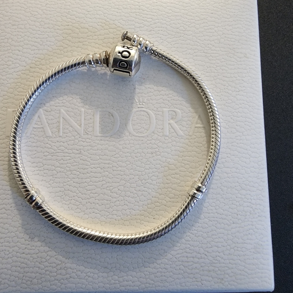 Pandora Moments Snake Chain Bracelet